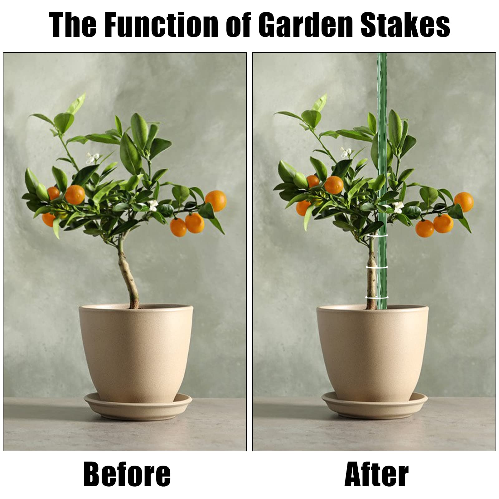 FEED GARDEN stake used for tomato, eggplant, cucumber growth