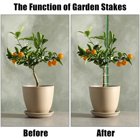 FEED GARDEN stake used for tomato, eggplant, cucumber growth