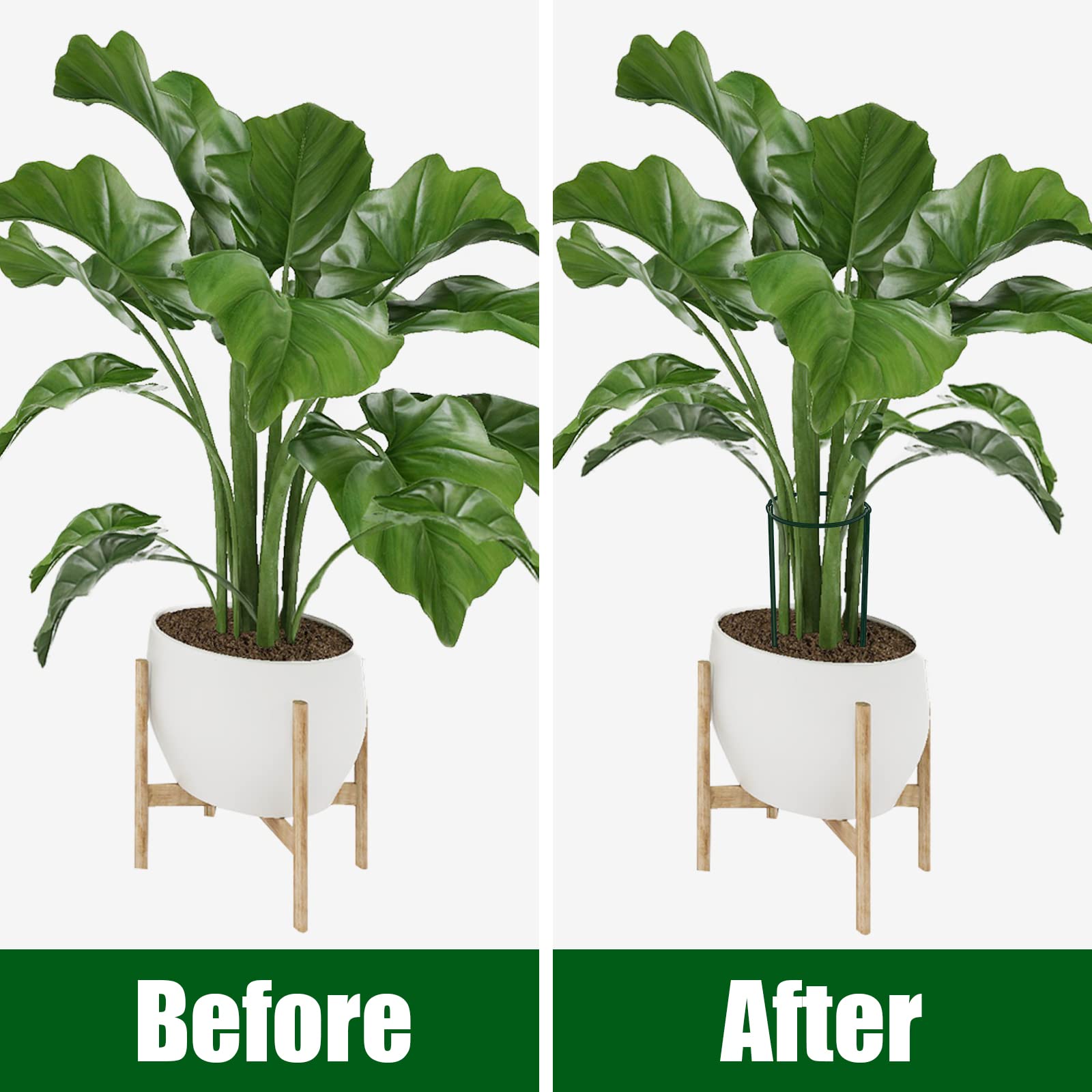 FEED GARDEN wind and rain protection helps plants grow upright and resist damage