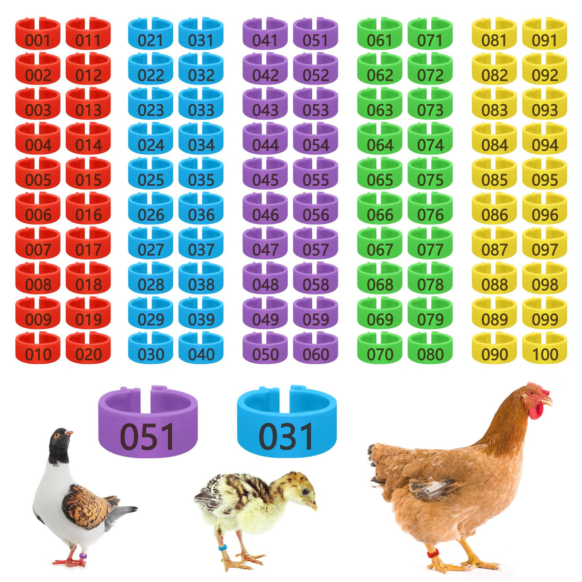 Feehope 100 Pcs 16mm chicken leg bands multicolor for quick flock sorting.