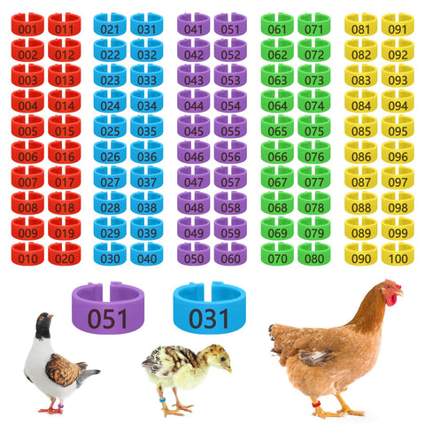 Feehope 100 Pcs 16mm chicken leg bands multicolor for quick flock sorting.