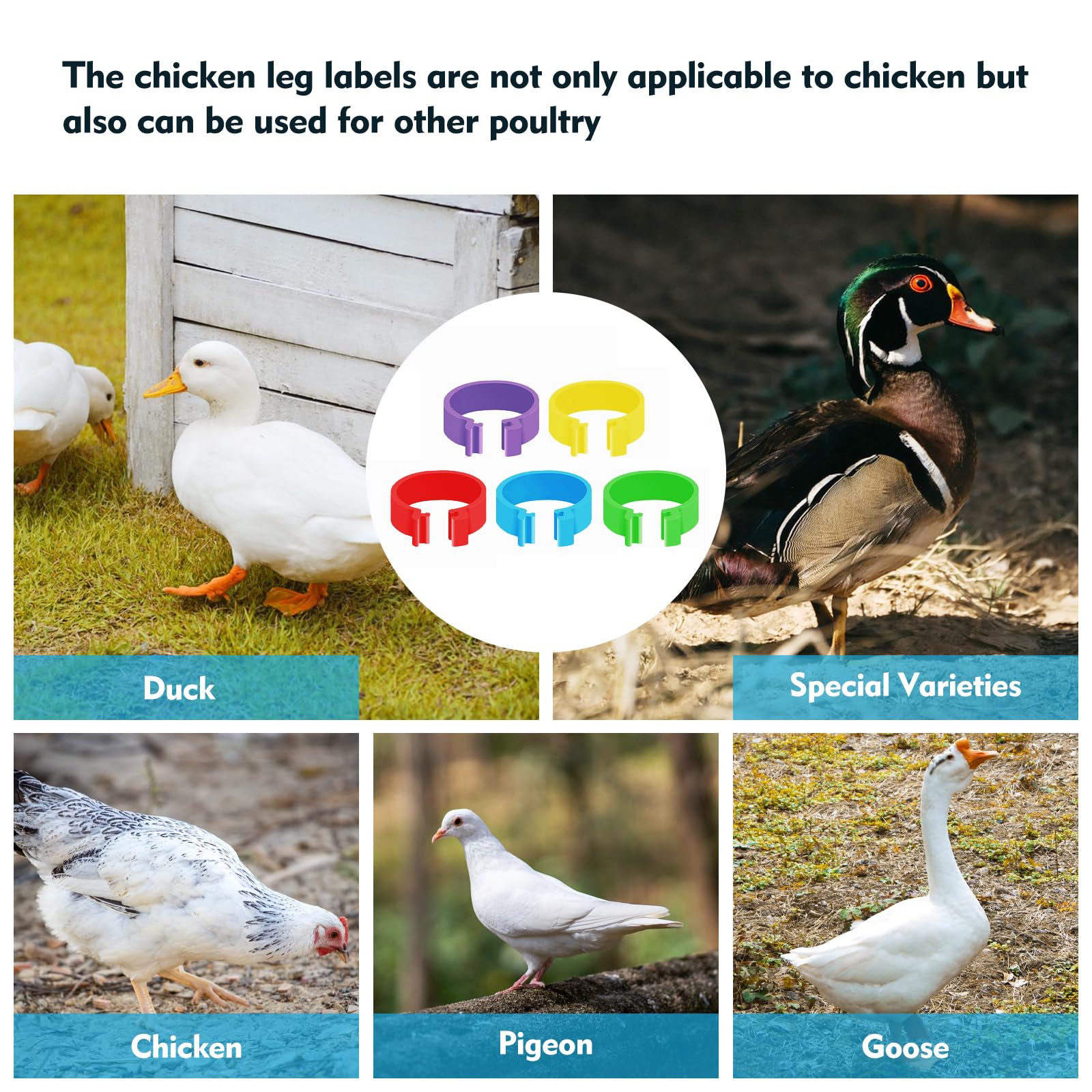 Feehope durable eco-plastic bands withstand cold and heat for long-term use.