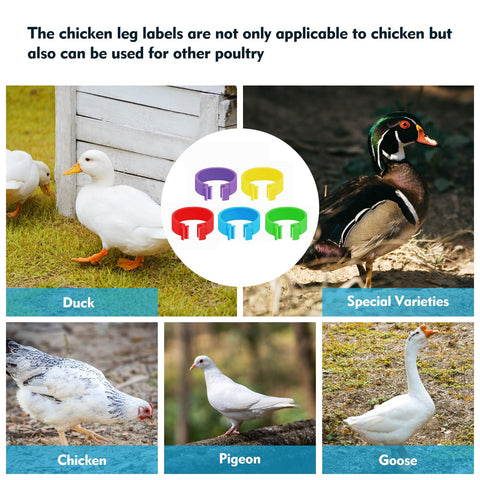 Feehope durable eco-plastic bands withstand cold and heat for long-term use.