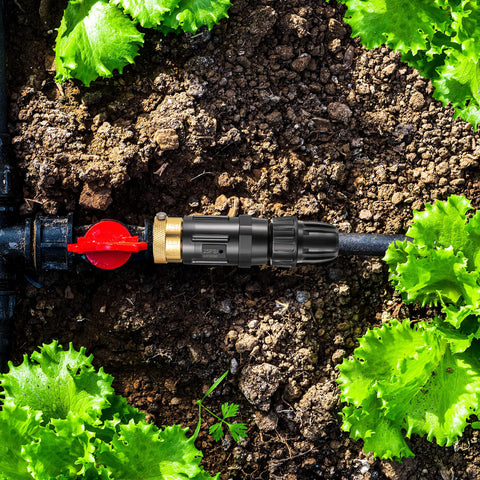 Feekoon backflow preventer safeguarding irrigation water flow