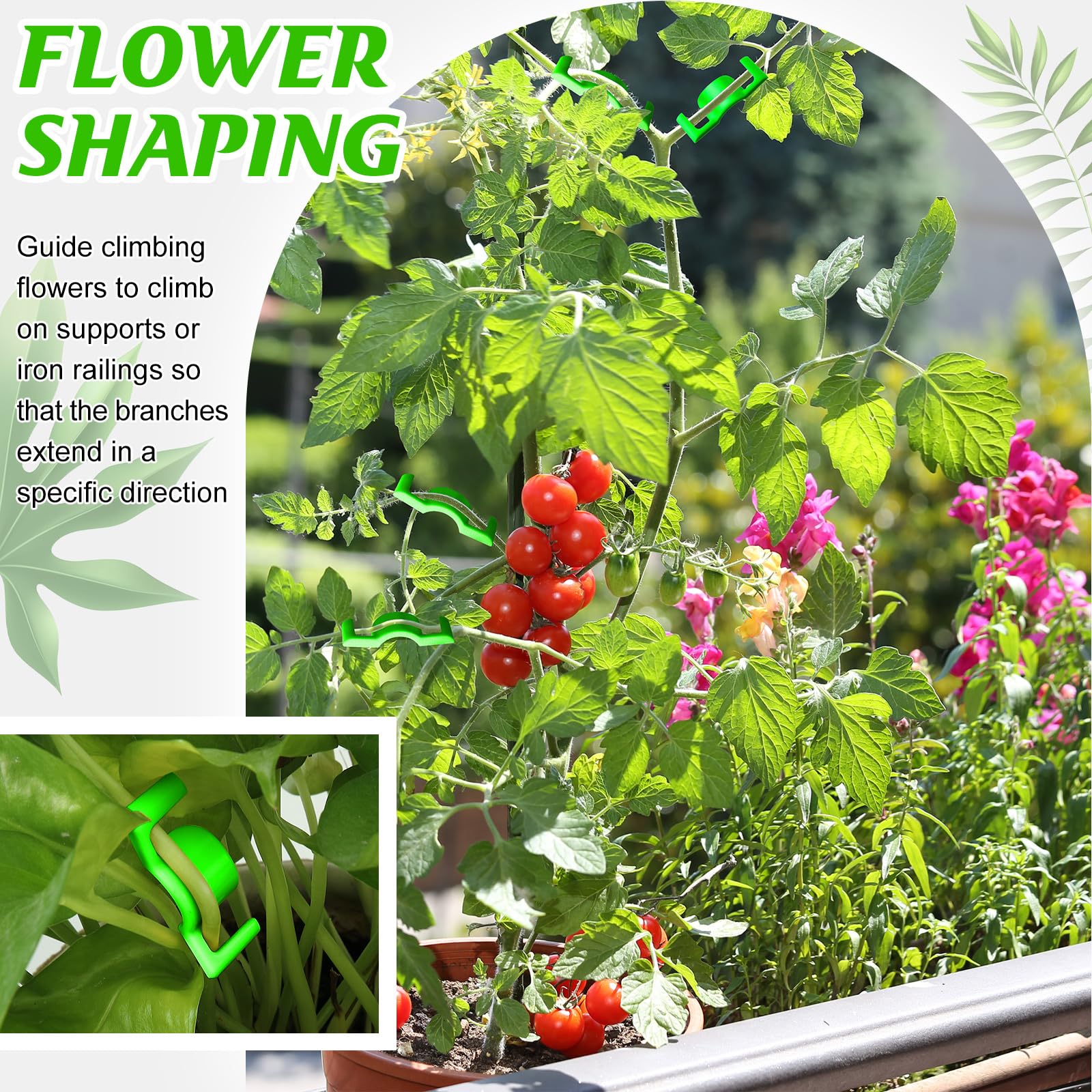 Feekoon durable plastic clip highlights gentle plant handling