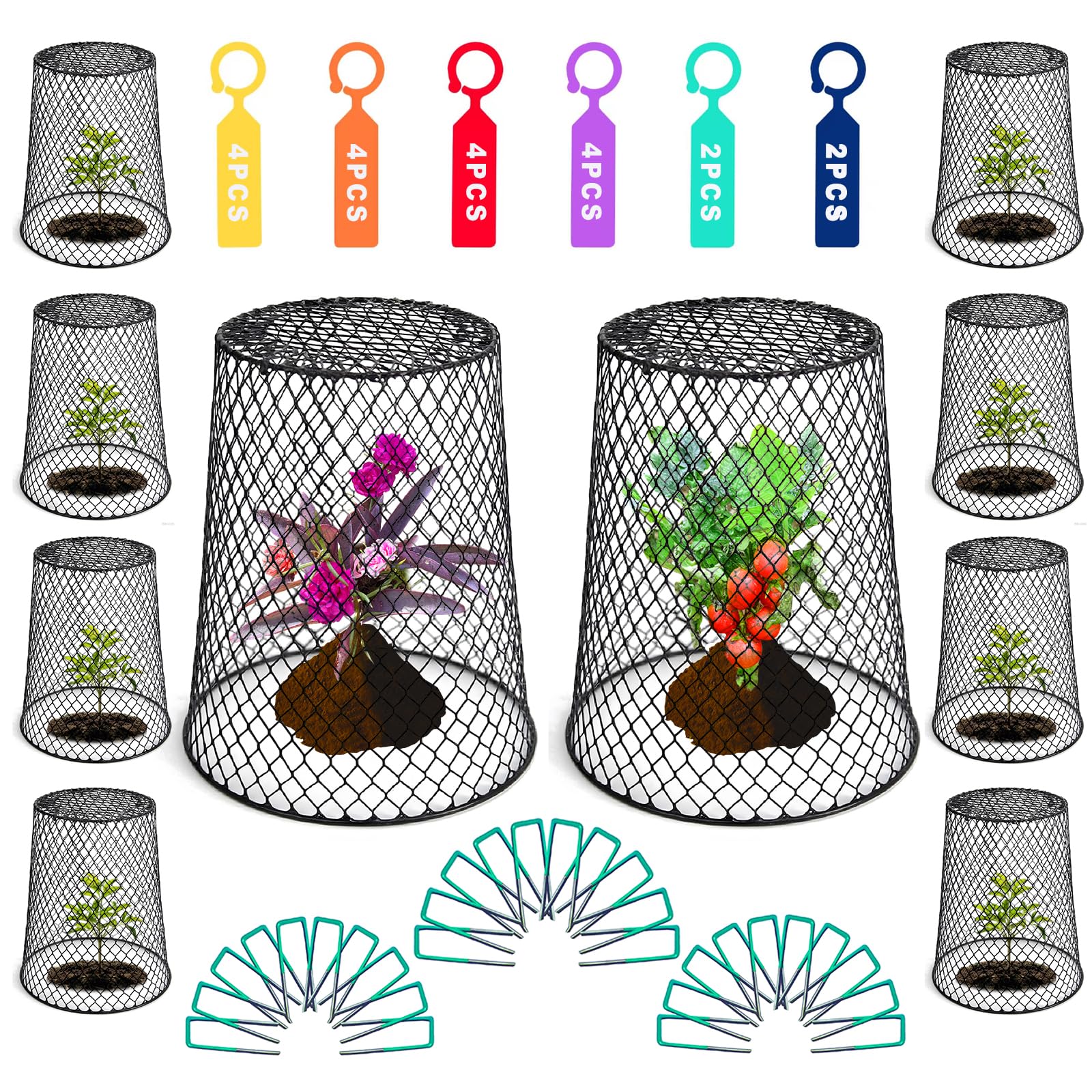 Feel Natural garden cloche over a young plant protecting from wildlife