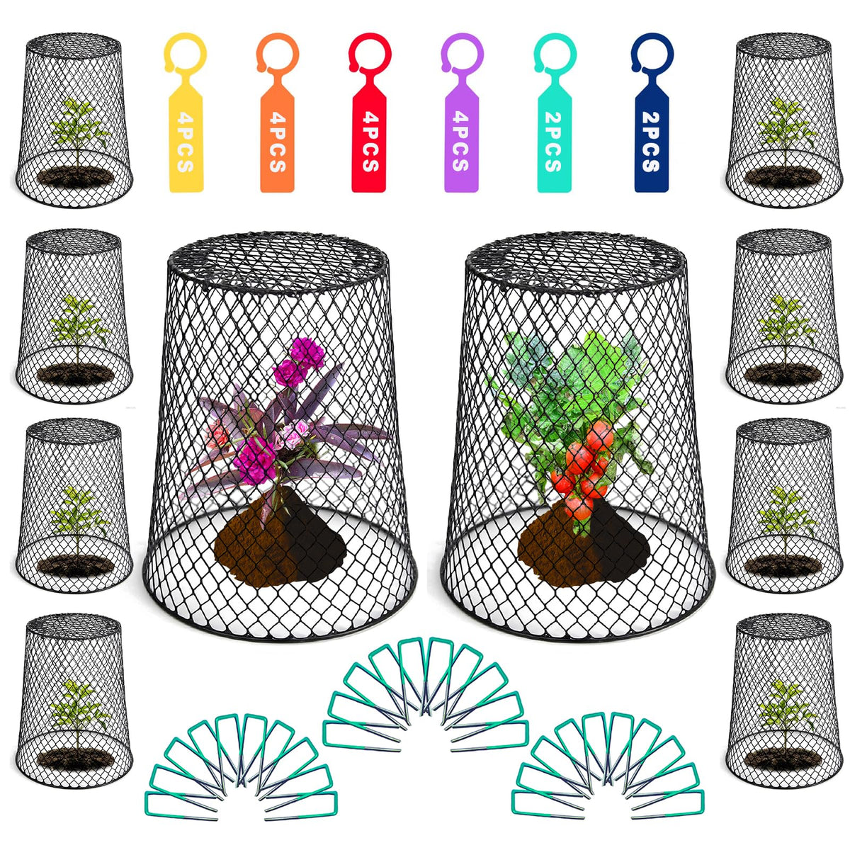Feel Natural garden cloche over a young plant protecting from wildlife