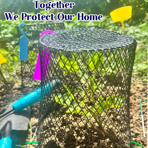 Feel Natural durable plant cages suitable for indoor and outdoor use