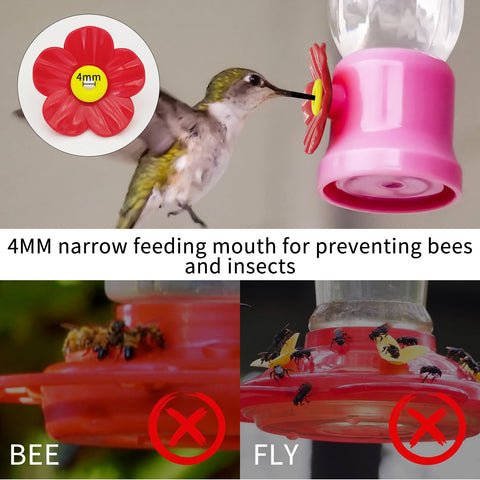 Feelorna red flowering parts add color and attract hummingbirds quickly.