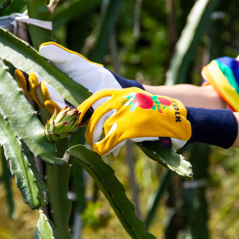 FEISHDEK Cactus Gloves easy-clean genuine leather care