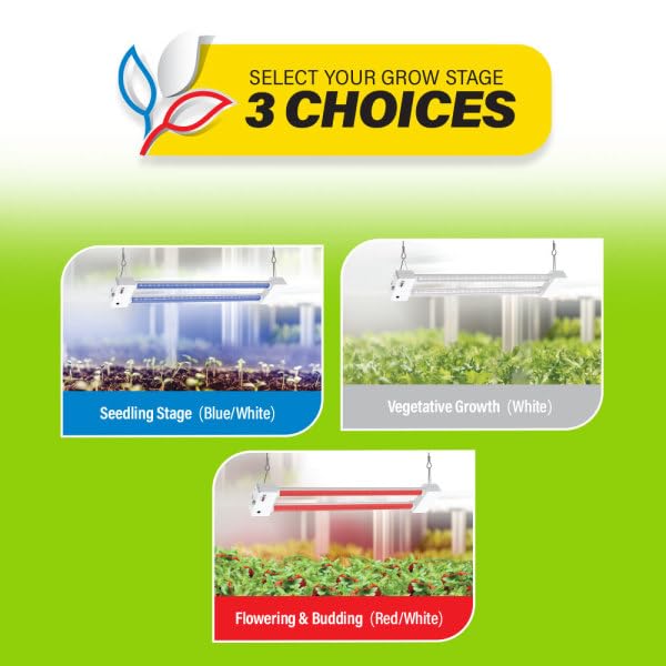 Feit Electric red spectrum supports flowering and plant stretch.