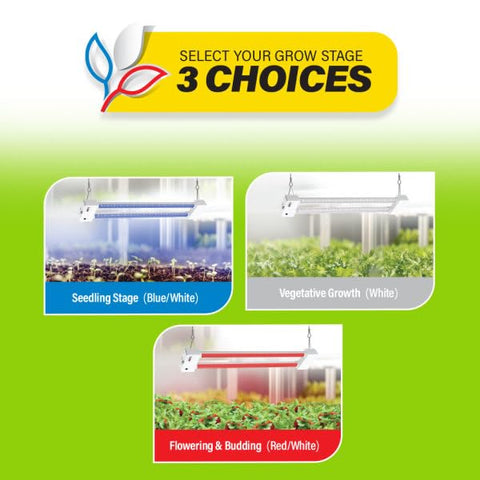 Feit Electric red spectrum supports flowering and plant stretch.