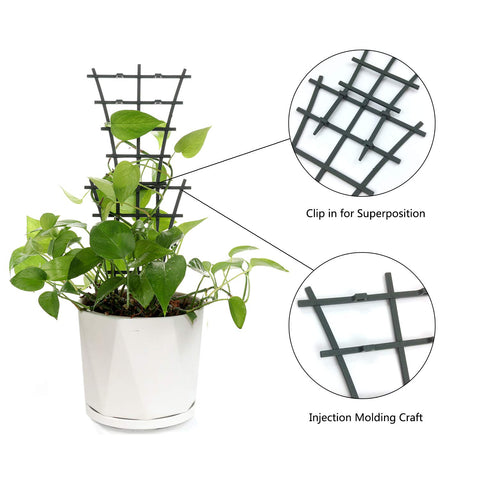 Feitore 6-pack set blends with dark green indoor decor.