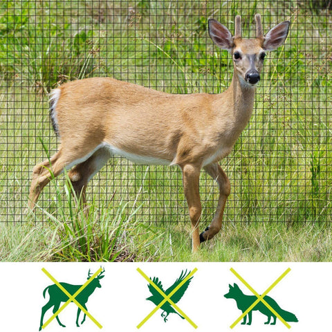 Feitore deer fence netting mesh close-up showing 3/4 inch openings for safe barrier