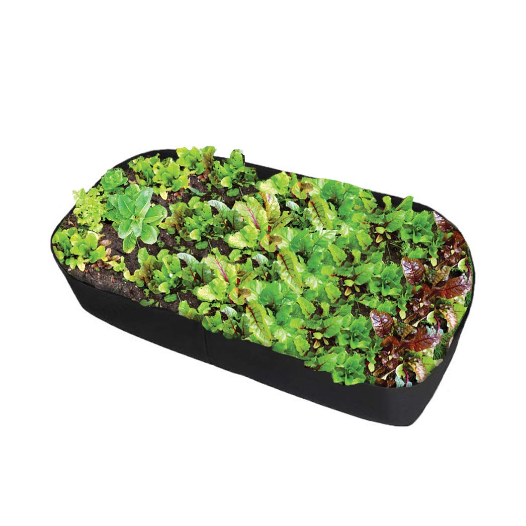 Feitore fabric raised garden bed on patio, ready to grow vegetables and flowers.