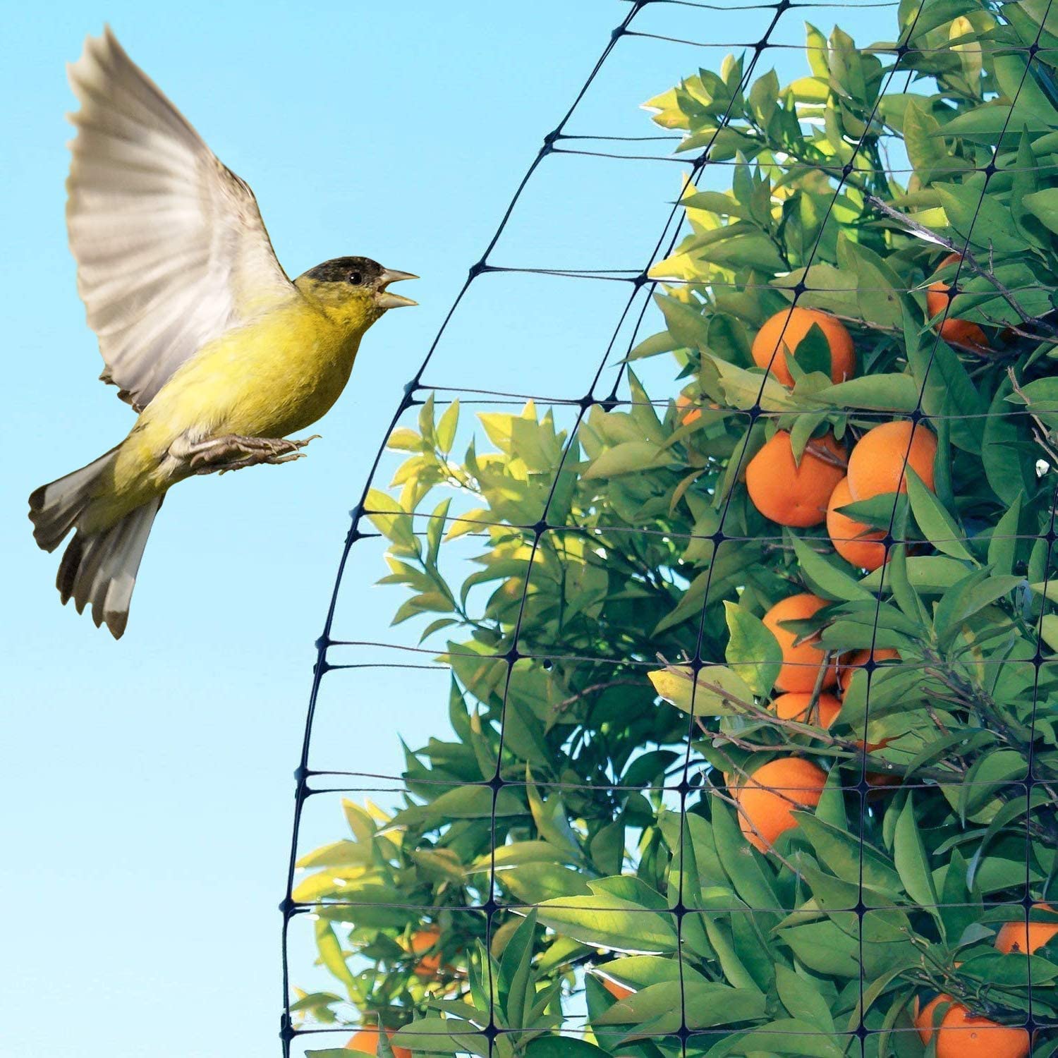 Feitore garden netting installation mock-up illustrates easy setup around vegetables