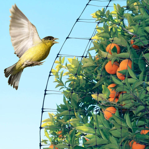 Feitore garden netting installation mock-up illustrates easy setup around vegetables
