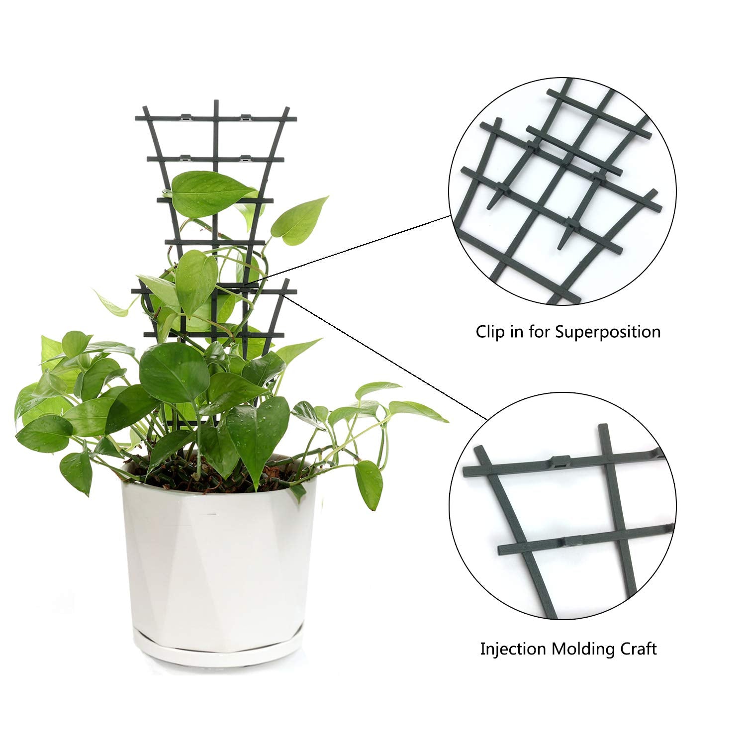 Feitore mini trellis being inserted into soil to support a vine.