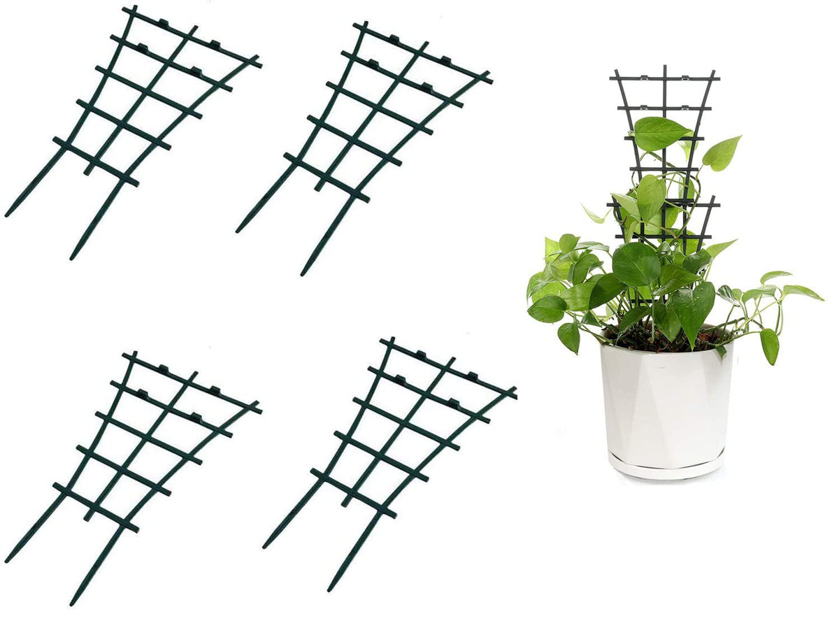 Feitore mini plant trellis shown in a superimposed setup for space-saving climbing plants.