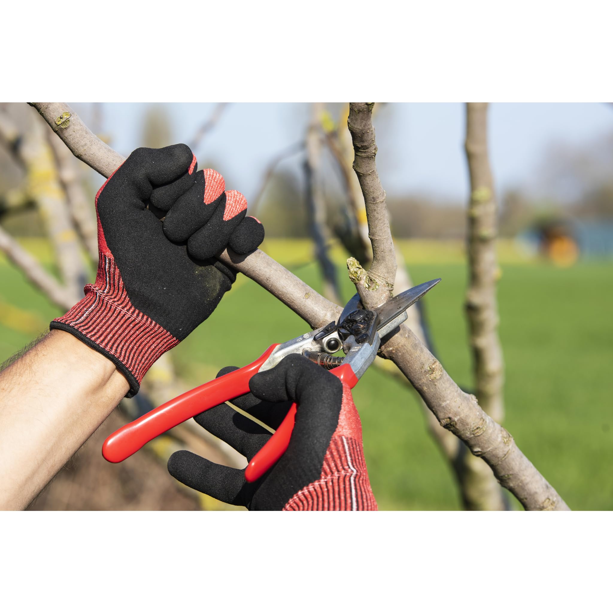 FELCO F-13 ergonomic handle supports comfortable pruning sessions.