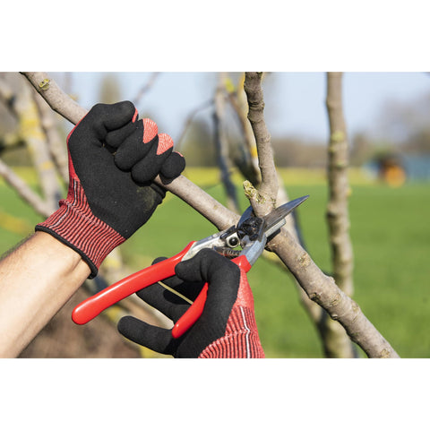 FELCO F-13 ergonomic handle supports comfortable pruning sessions.