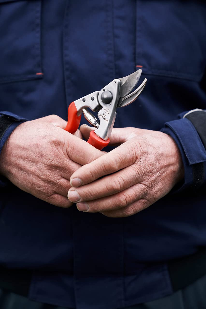 Felco F15 pruning in a garden scene for precise trimming tasks.