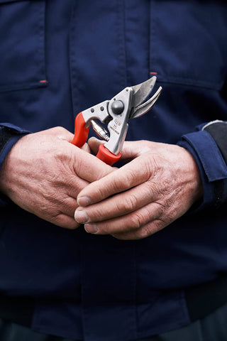 Felco F15 pruning in a garden scene for precise trimming tasks.