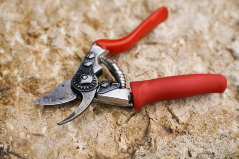 Felco F15 rotating handle enables comfortable pruning for all hand sizes.