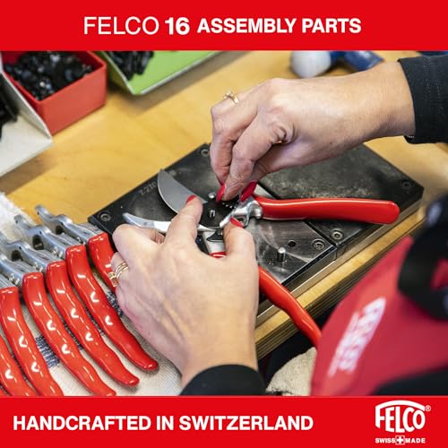 FELCO F16 garden tool in action for precise one-handed pruning
