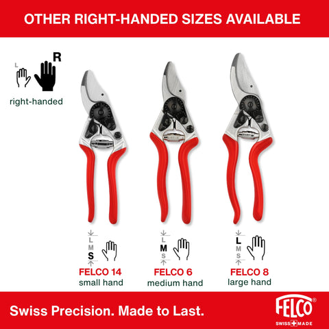 Felco F2 rose pruning action delivers smooth, clean blooms.