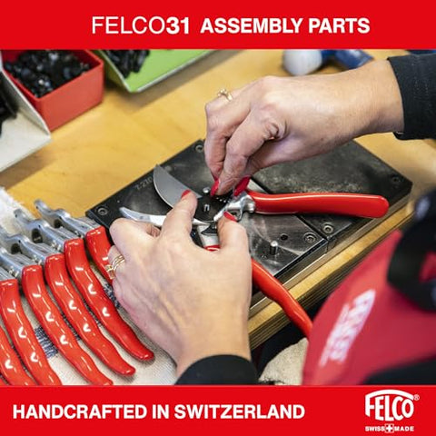 FELCO F31 compact tool ideal for garden tasks