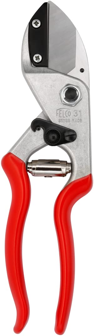 FELCO F31 pruning shears with anvil blade cutting hard wood smoothly