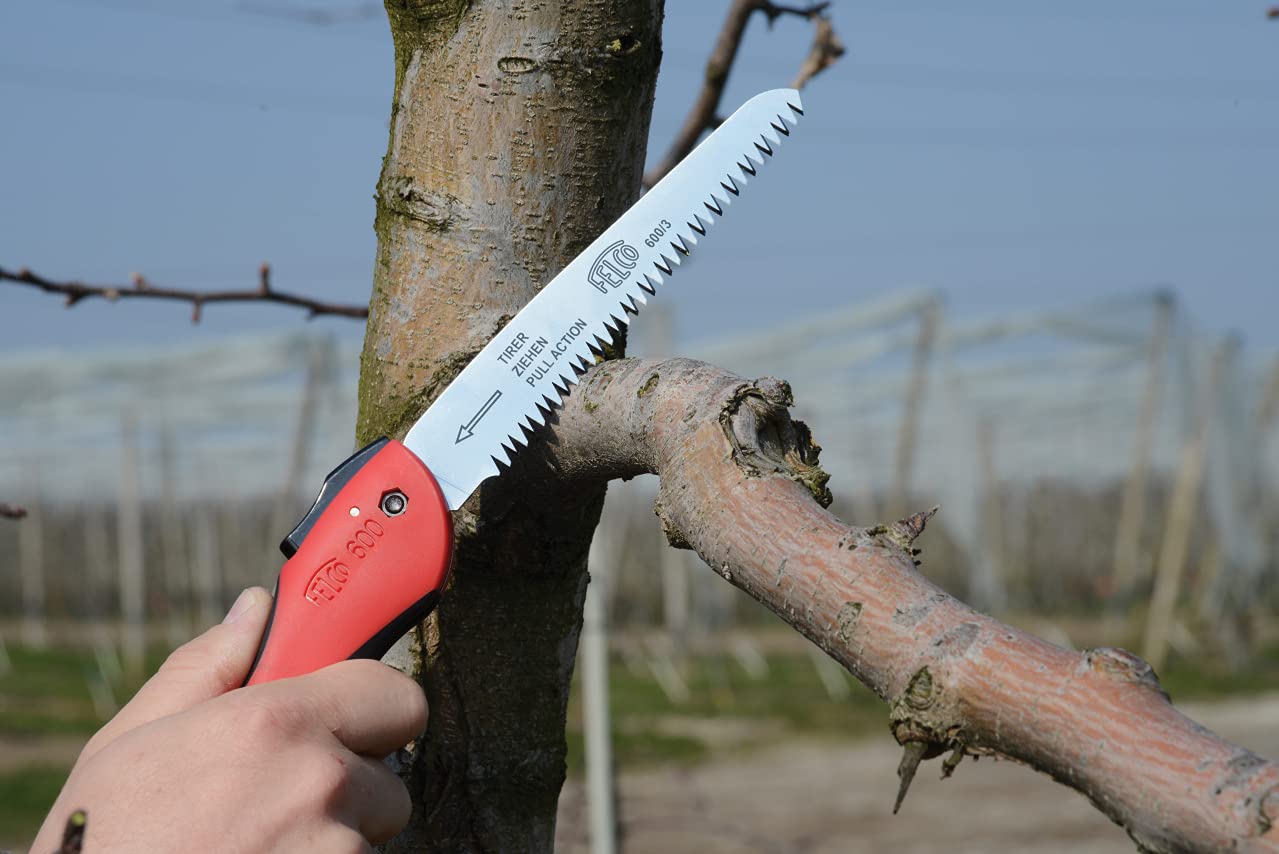 Cuts branches up to four inches with the FELCO F600.