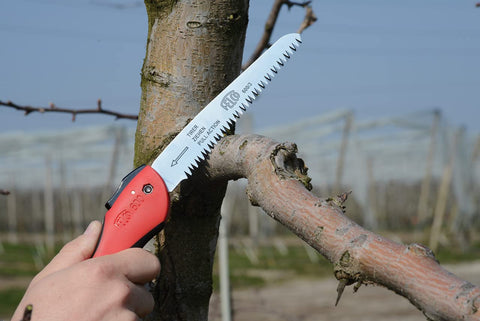 Cuts branches up to four inches with the FELCO F600.