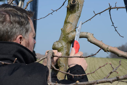 Pull-stroke action enables controlled pruning with FELCO F600.