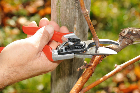 FELCO F8 lifetime warranty on core components and durable performance