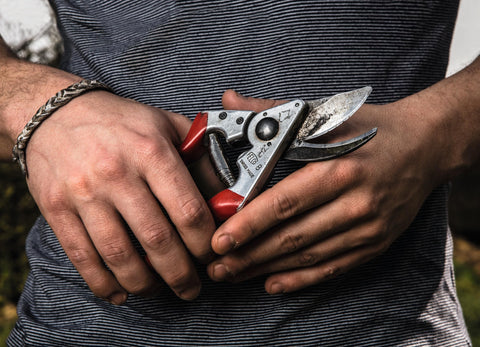 FELCO F8 with lightweight aluminum handles for a secure grip during pruning