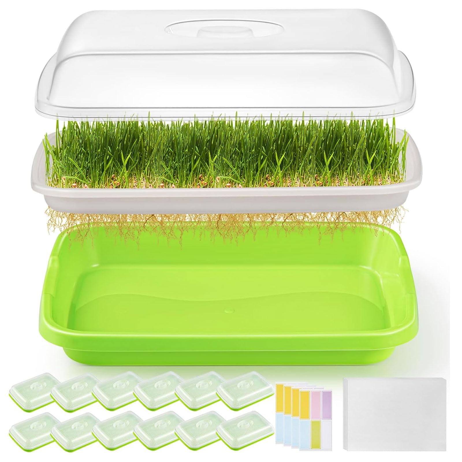FELISTORY 12-pack sprouter trays with lid for soil-free germination and fresh greens at home