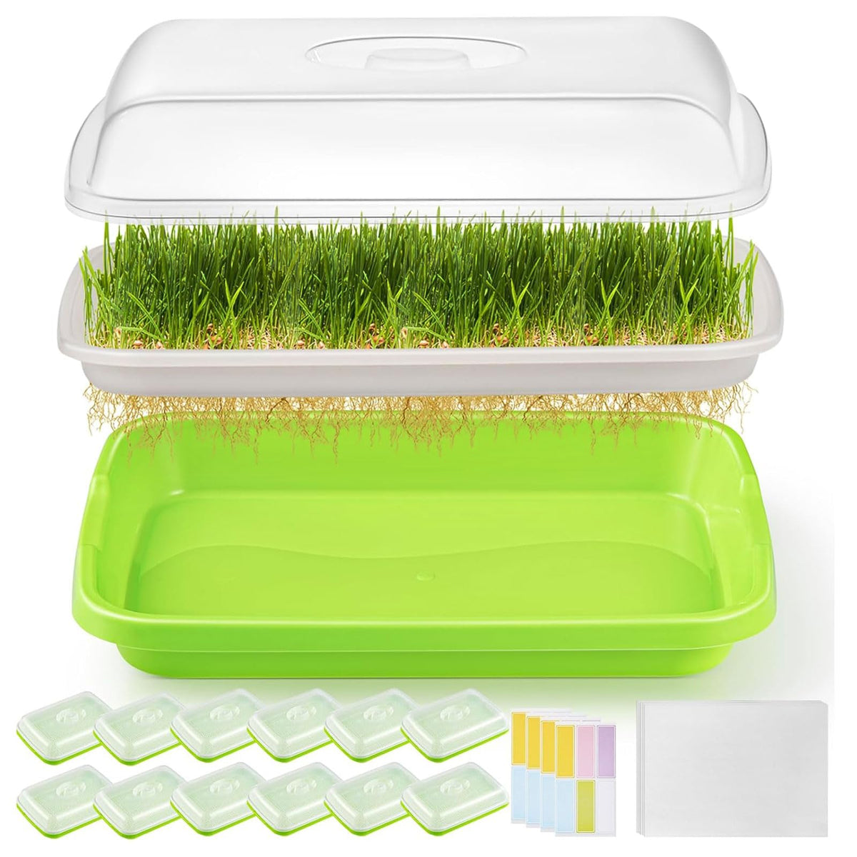 FELISTORY 12-pack sprouter trays with lid for soil-free germination and fresh greens at home