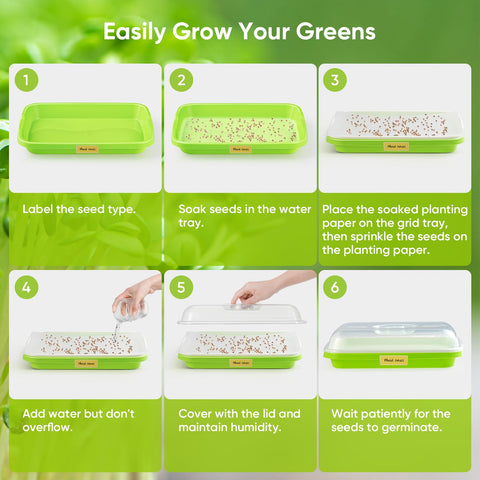 FELISTORY double-layer germination trays highlight efficient water management and reduced watering