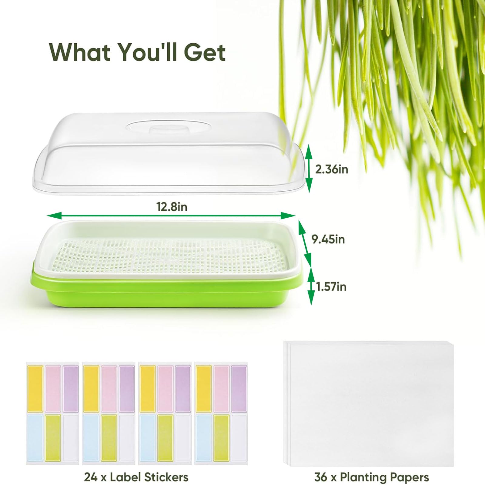 FELISTORY indoors-outdoors sprouting kit for versatile home gardening anywhere