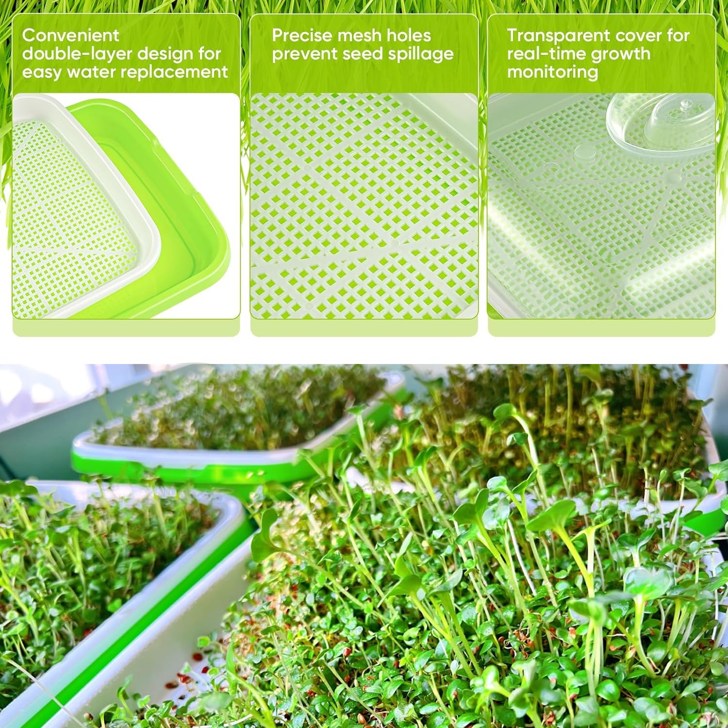 FELISTORY microgreens-friendly trays suitable for wheat grass, alfalfa, lentils, and more