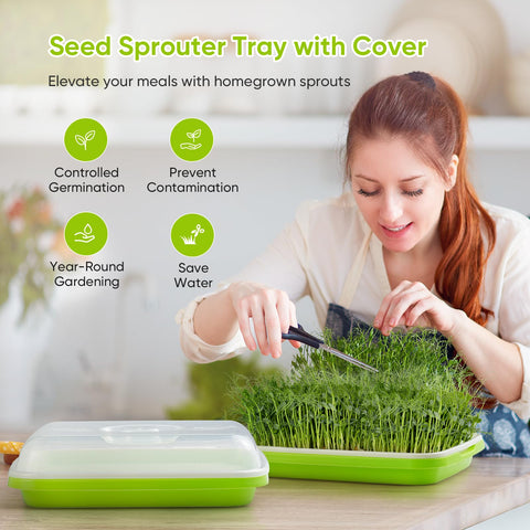 FELISTORY sprouter trays inside view showing roomy compartments for rapid seed germination