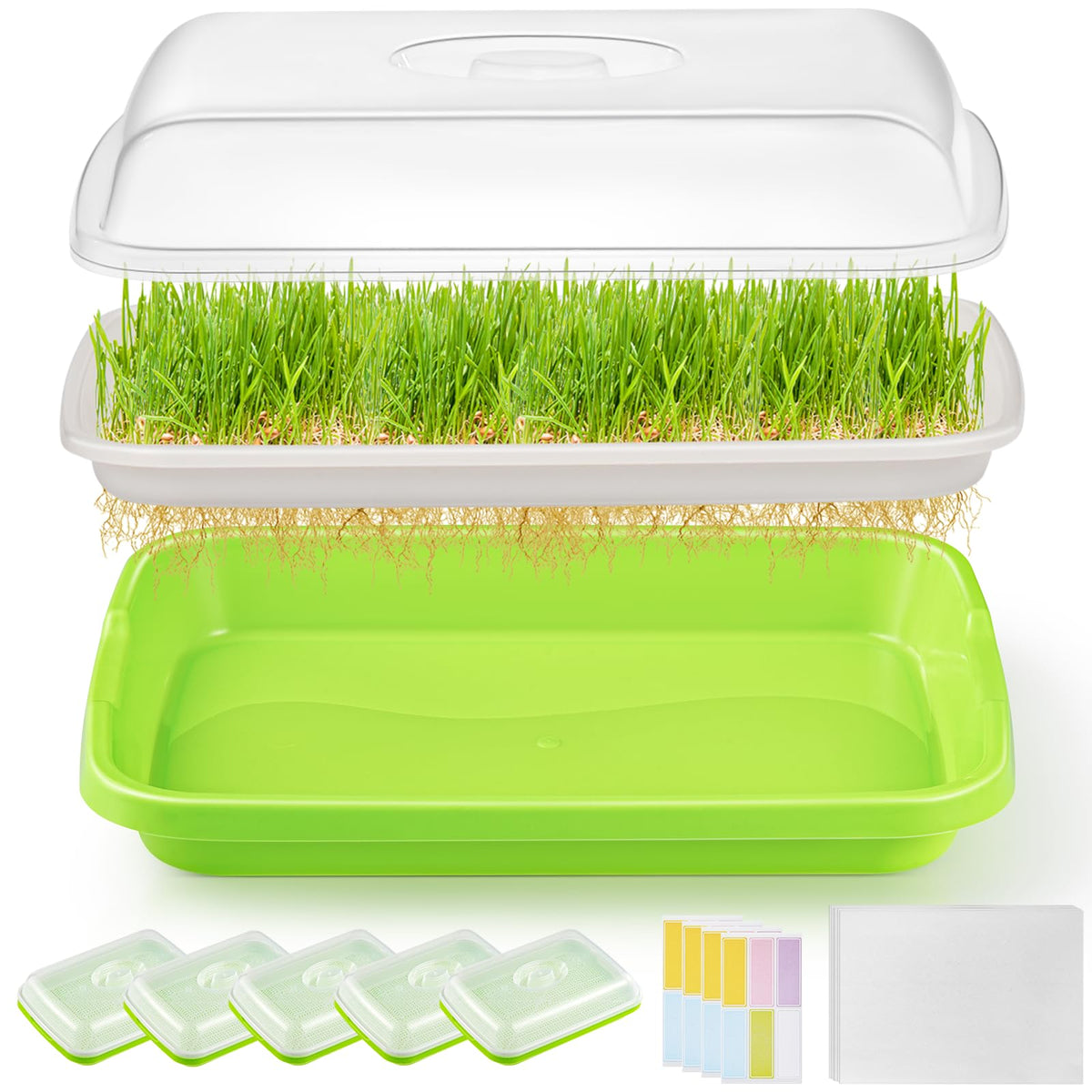 FELISTORY 6-pack green seed sprouter trays with lid shown for indoor germination and fresh greens.