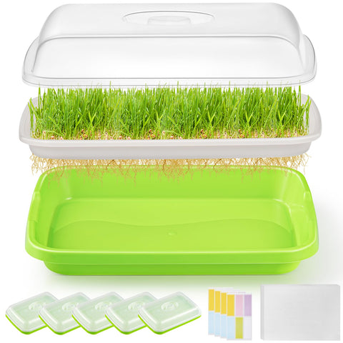 FELISTORY 6-pack green seed sprouter trays with lid shown for indoor germination and fresh greens.