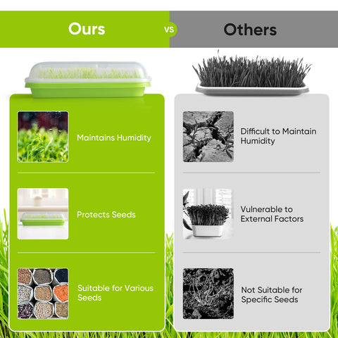 FELISTORY double-layer sprouter tray reduces watering and rot risk during germination.