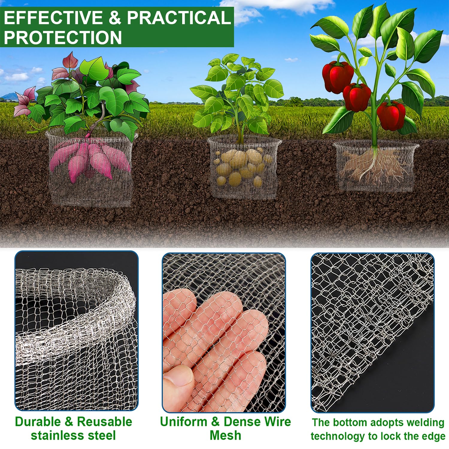 Femitu 304 stainless steel root guard highlights rust resistance.