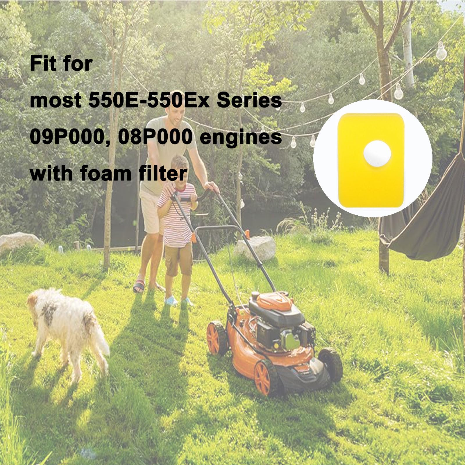 Femory compatibility-09p602-550e-series – suitable for many BS and MTD engines.