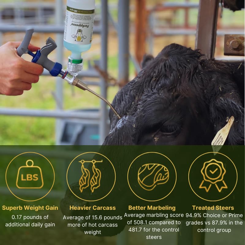 FerAppease application above the muzzle targets calming skin area on cattle.