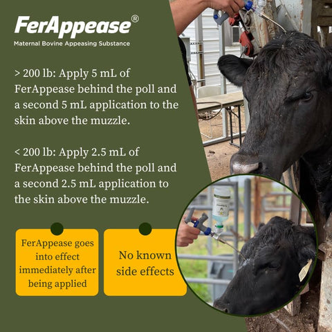 FerAppease topical behind-poll application calms cattle during handling.